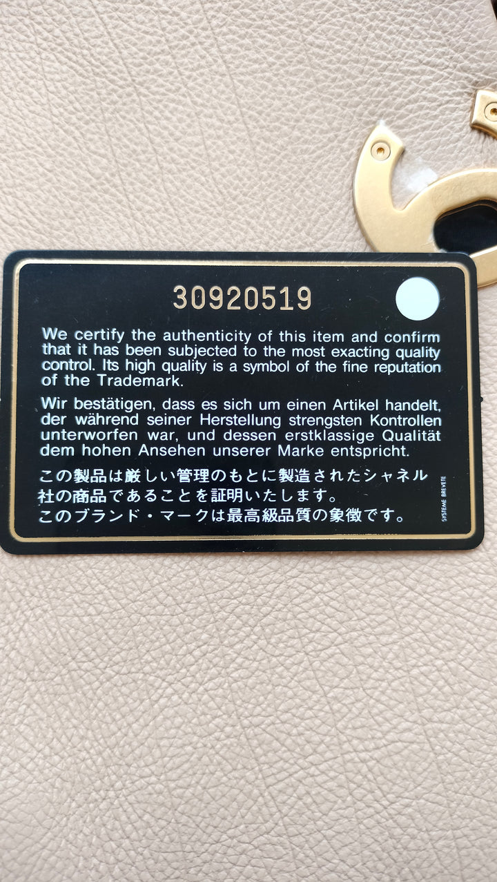 Chanel 19 Flap Bag