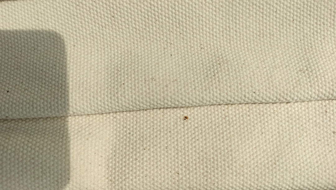 Tory Burch Canvas Tote Bag