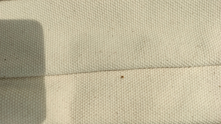 Tory Burch Canvas Tote Bag