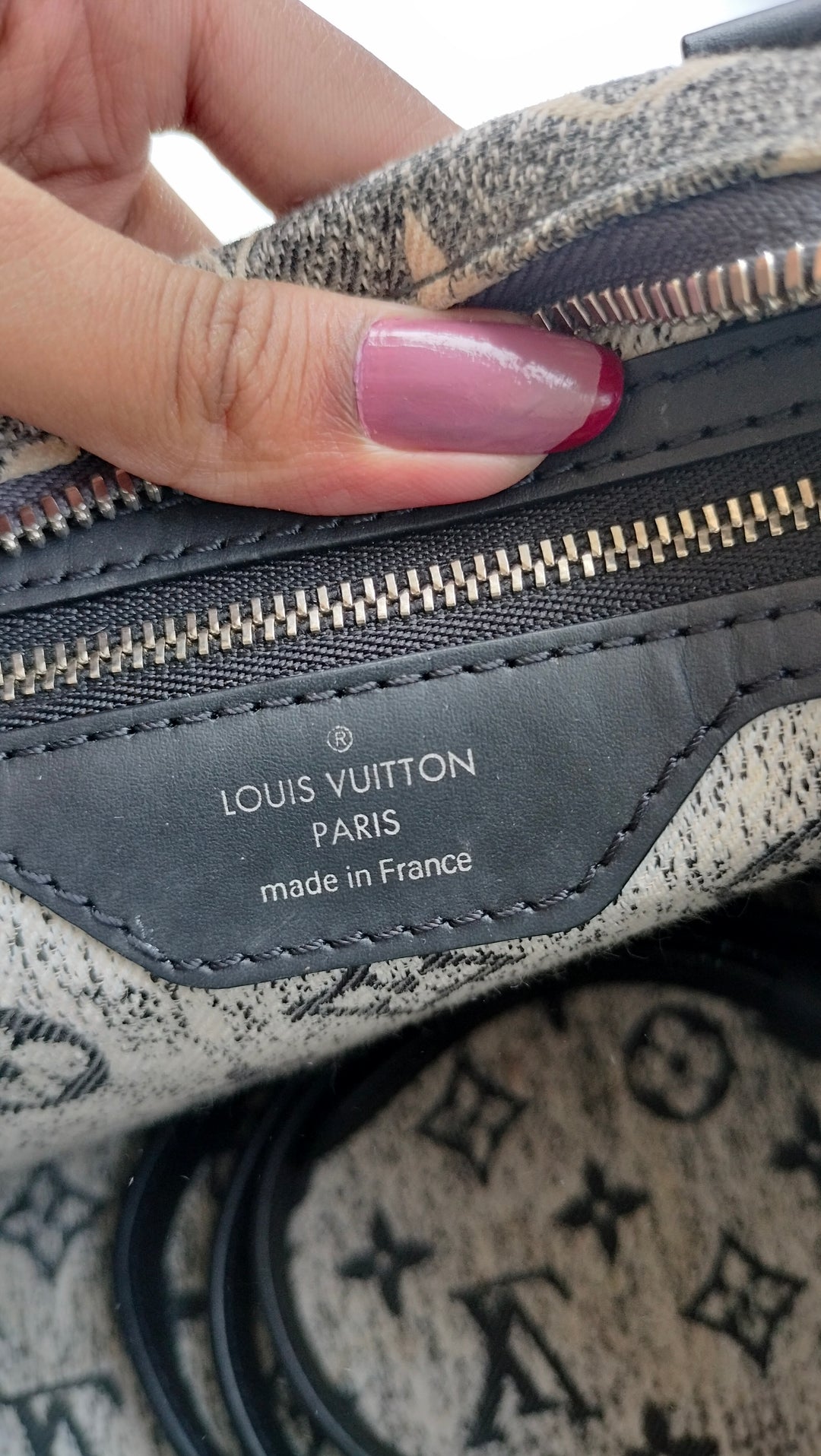 Louis Vuitton Monogram Jacquard Denim Speedy Bandoulière 25 bag