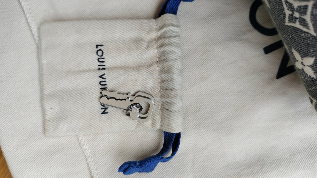 Louis Vuitton Monogram Jacquard Denim Speedy Bandoulière 25 bag