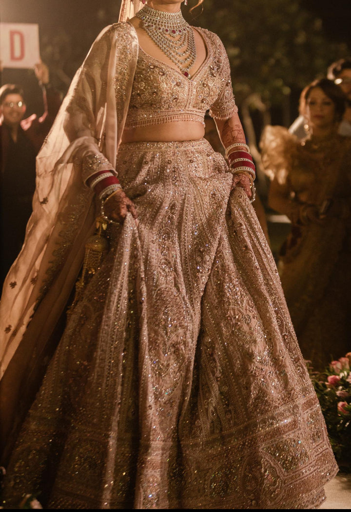 Payal Keyal Blush Pink Embellished Lehenga Set