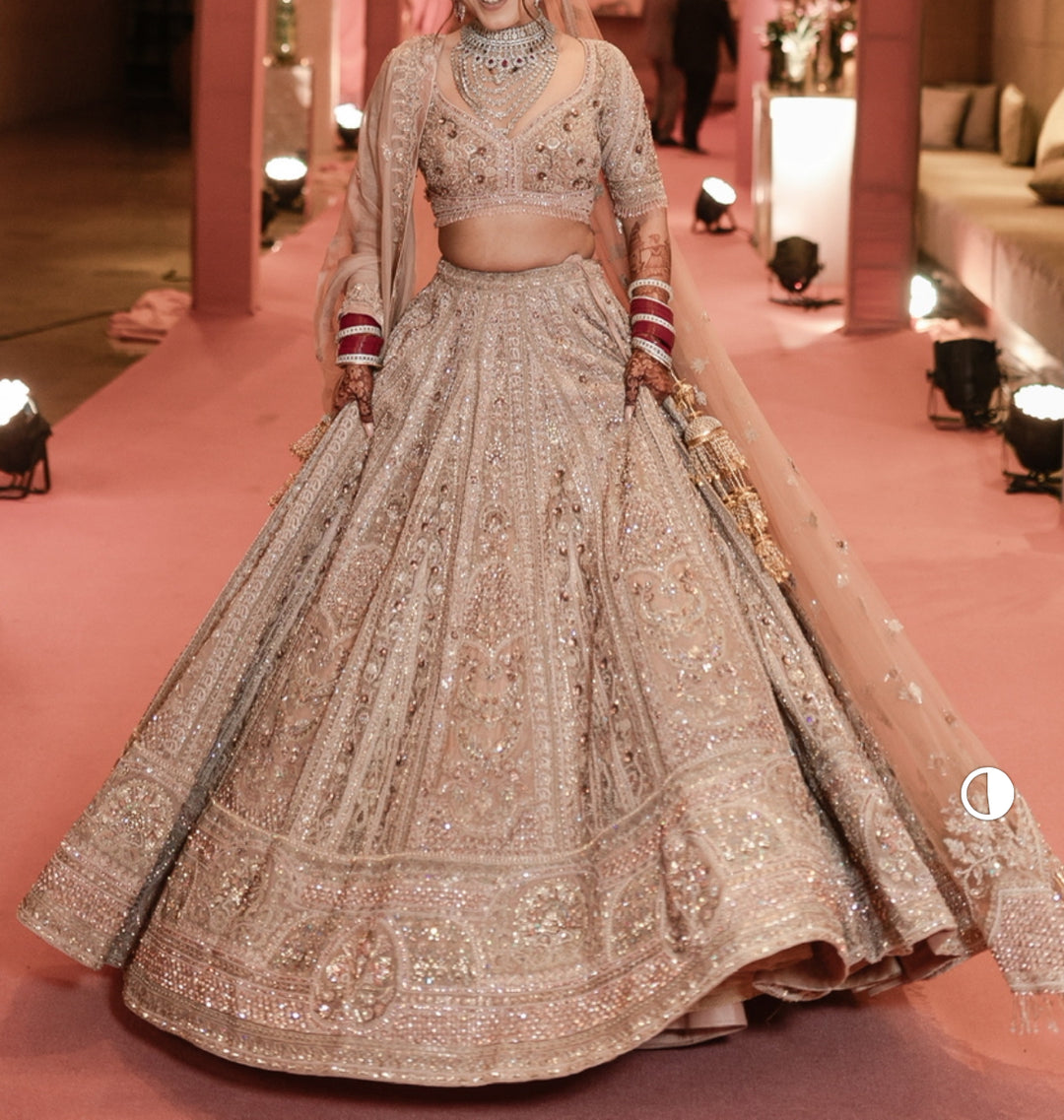 Payal Keyal Blush Pink Embellished Lehenga Set