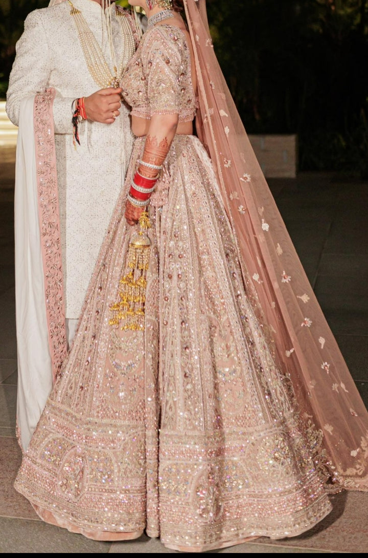 Payal Keyal Blush Pink Embellished Lehenga Set