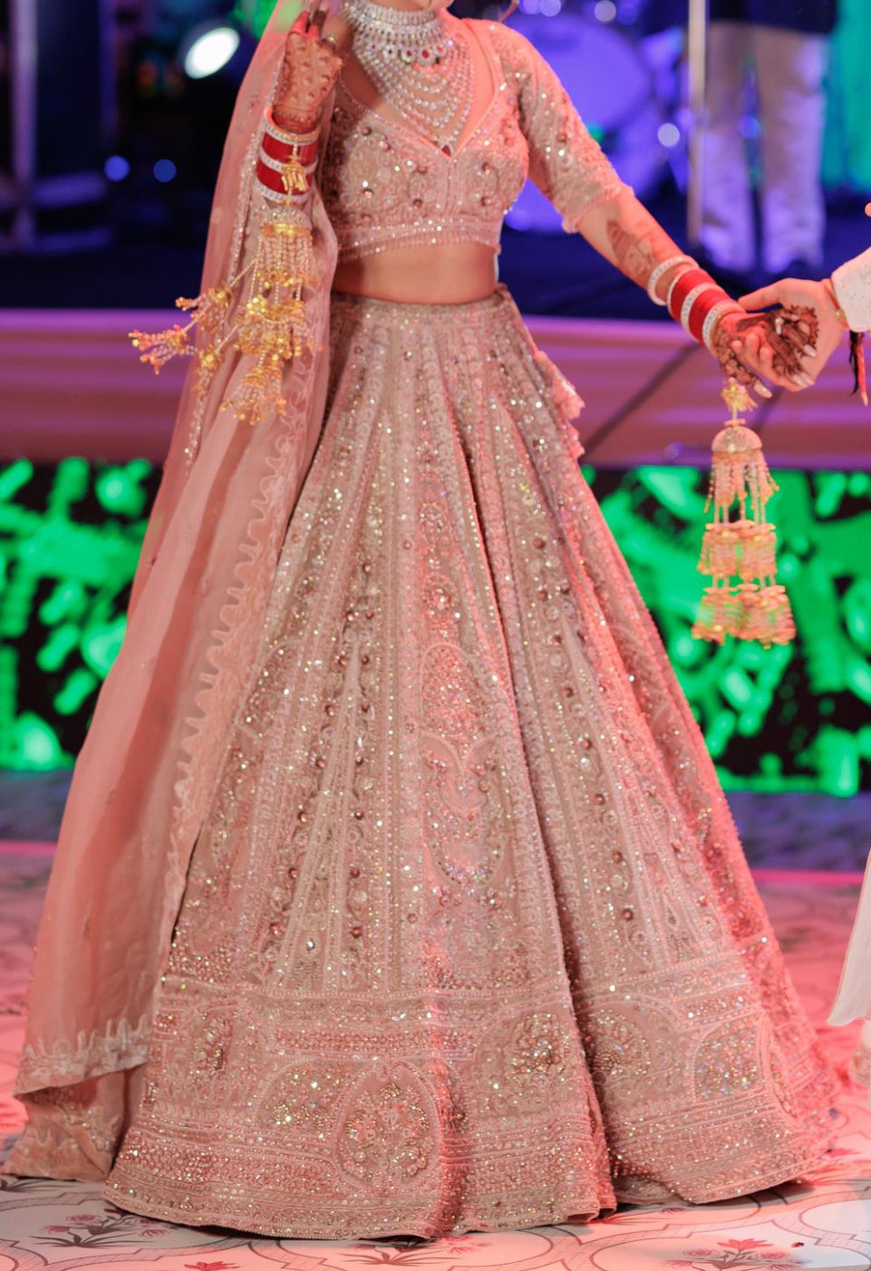 Payal Keyal Blush Pink Embellished Lehenga Set