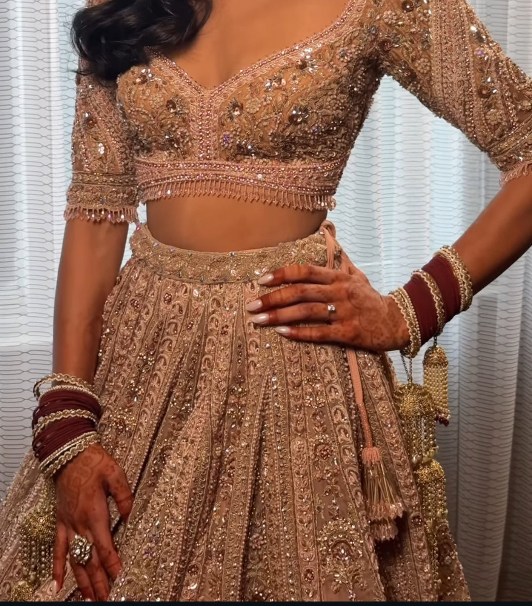 Payal Keyal Blush Pink Embellished Lehenga Set
