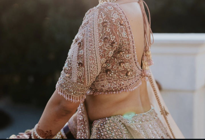 Payal Keyal Blush Pink Embellished Lehenga Set