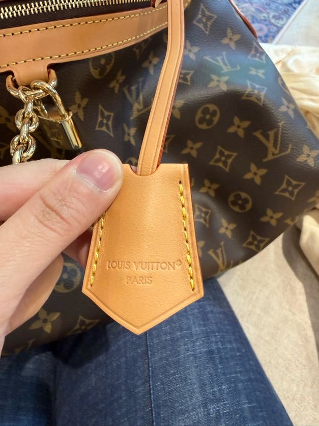 Louis Vuitton Ever More MM bag
