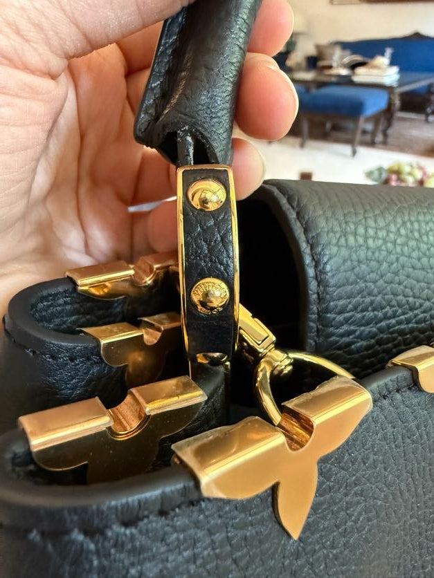 Louis Vuitton Capucines Bag