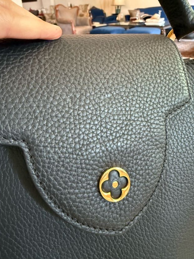 Louis Vuitton Capucines Bag