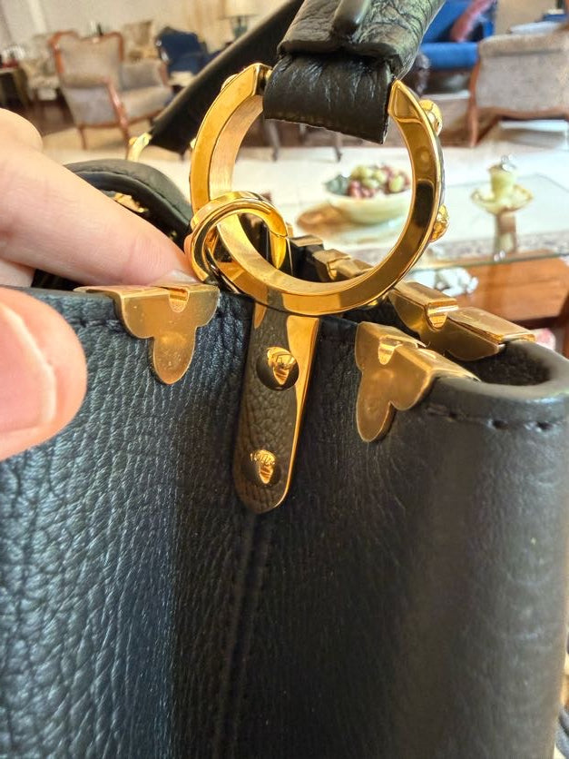 Louis Vuitton Capucines Bag