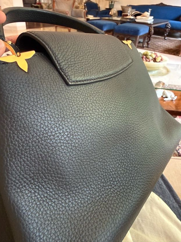 Louis Vuitton Capucines Bag