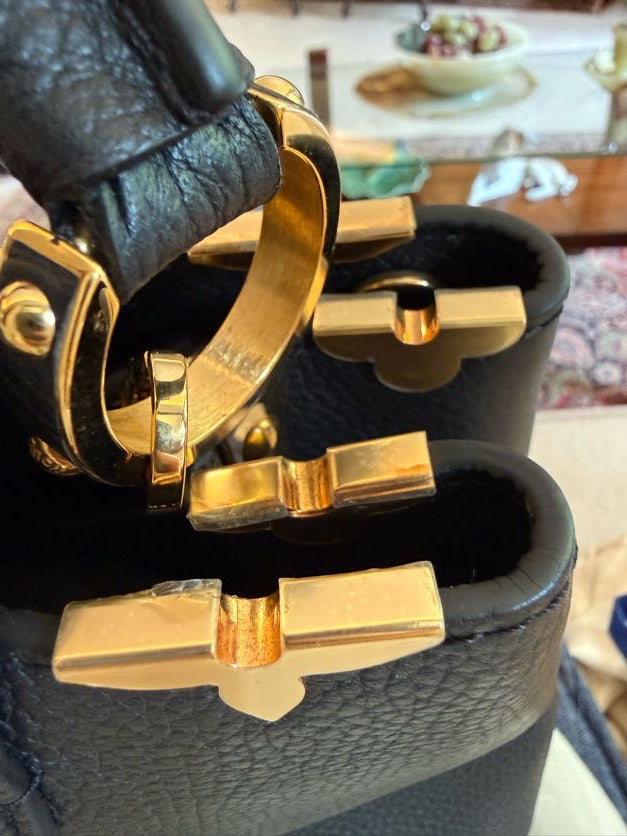 Louis Vuitton Capucines Bag