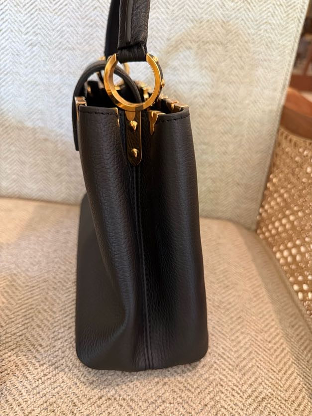 Louis Vuitton Capucines Bag
