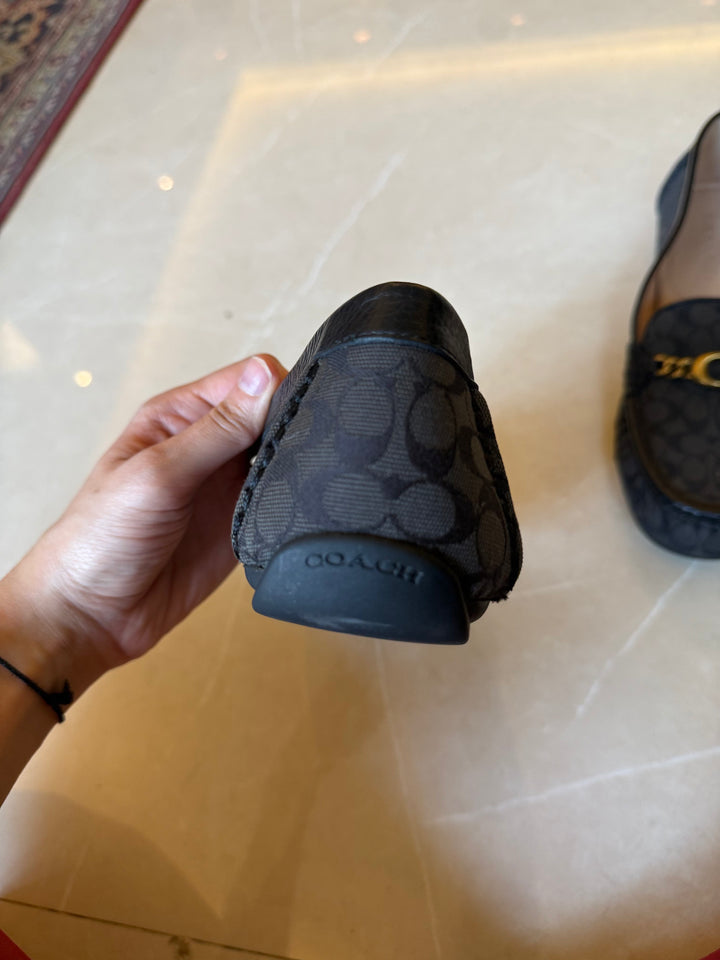 Coach Maegan Driver Loafers