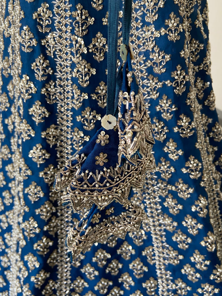 Anushree Reddy Embroidered Lehenga Set