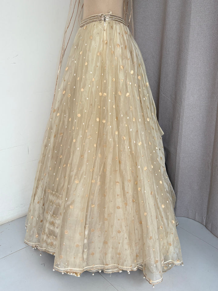 Tarun Tahiliani Embellished Lehenga Set