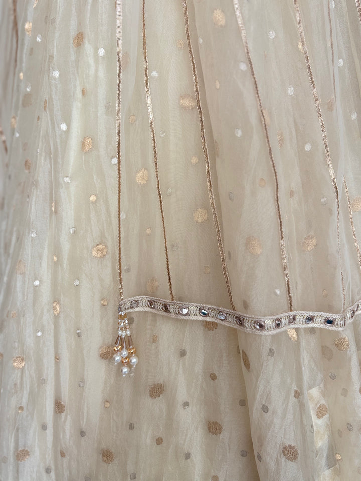 Tarun Tahiliani Embellished Lehenga Set