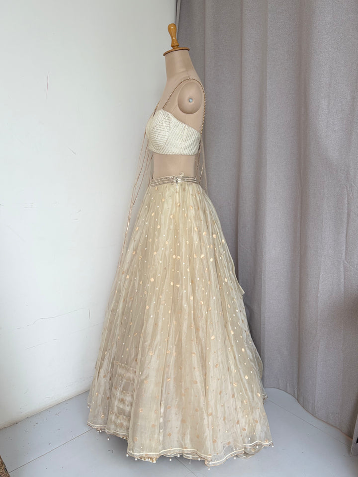 Tarun Tahiliani Embellished Lehenga Set