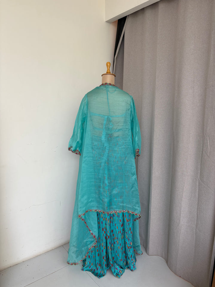 Punit Balana Palazzo Set