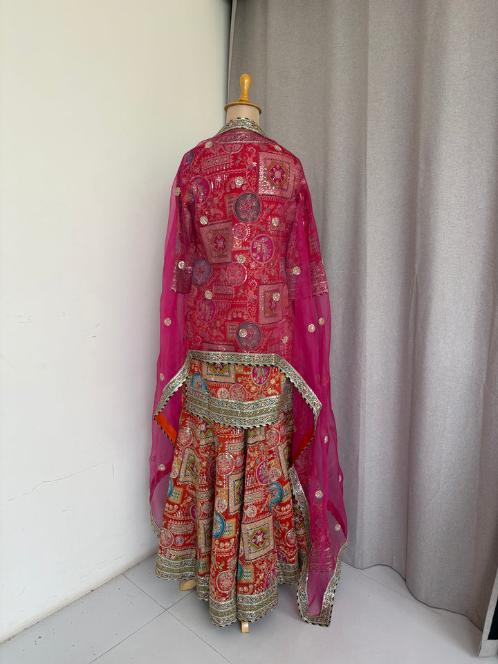 Dabiri Embroidered Gharara Set