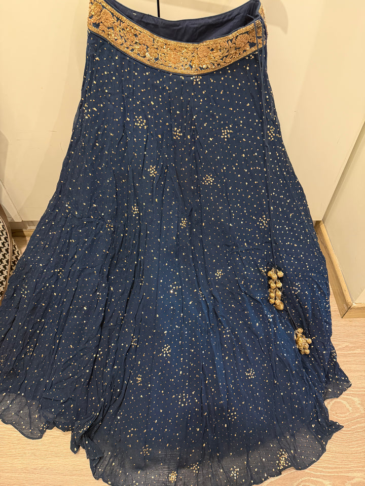 Dolly J Embellished Lehenga Set