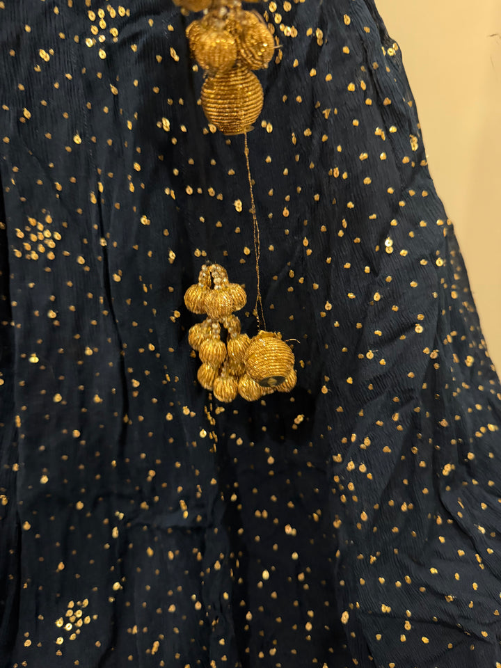 Dolly J Embellished Lehenga Set