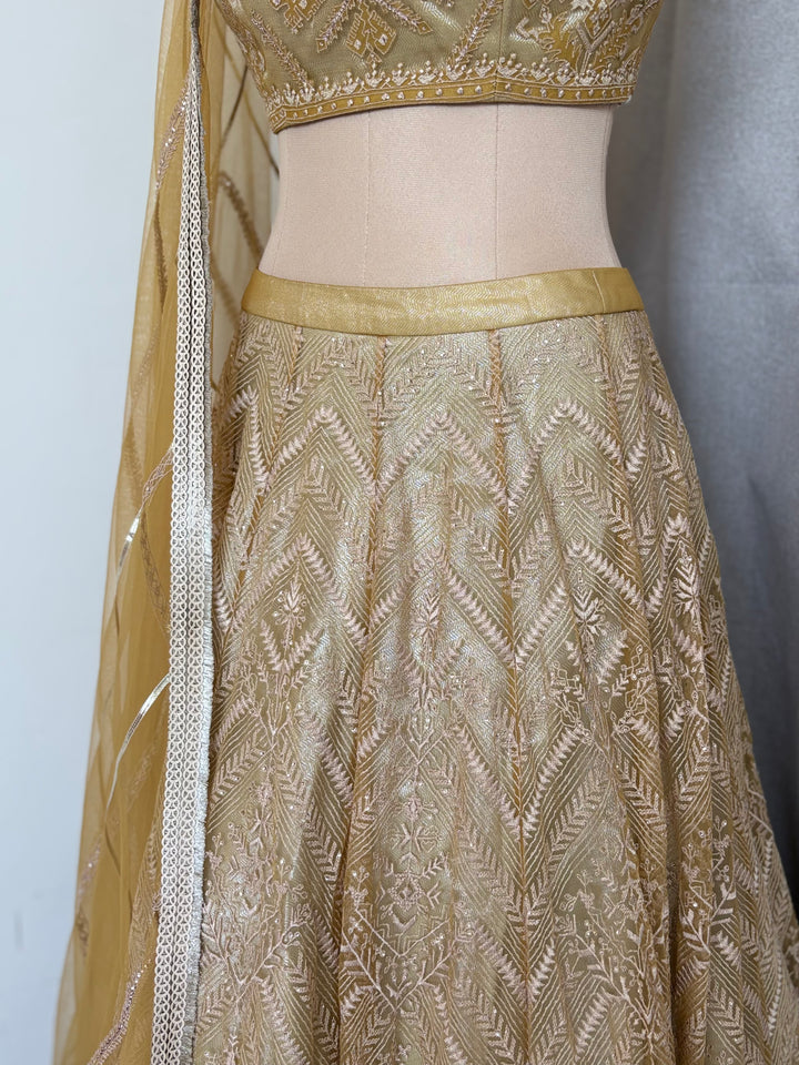 Shantanu & Nikhil Embellished Lehenga Set