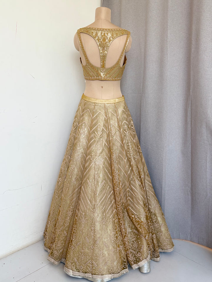 Shantanu & Nikhil Embellished Lehenga Set