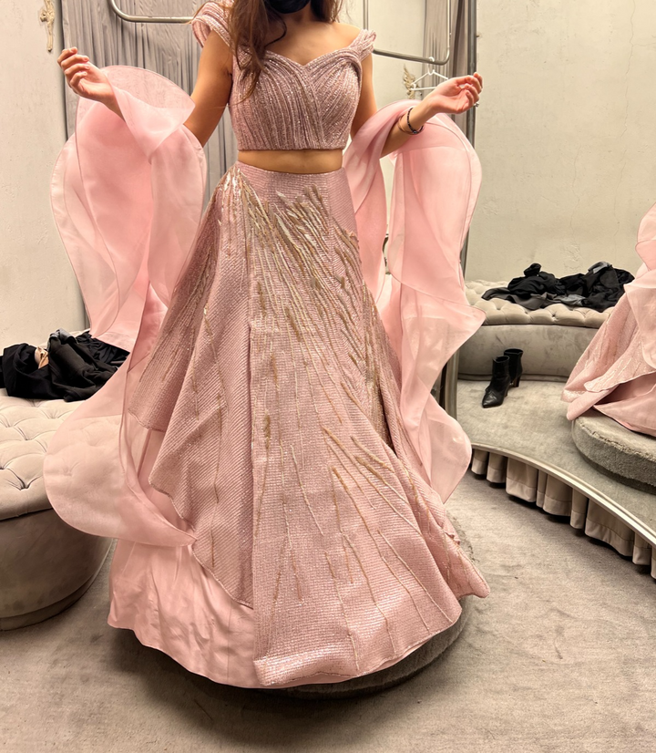 Gaurav Gupta Embellished Blush Pink Lehenga