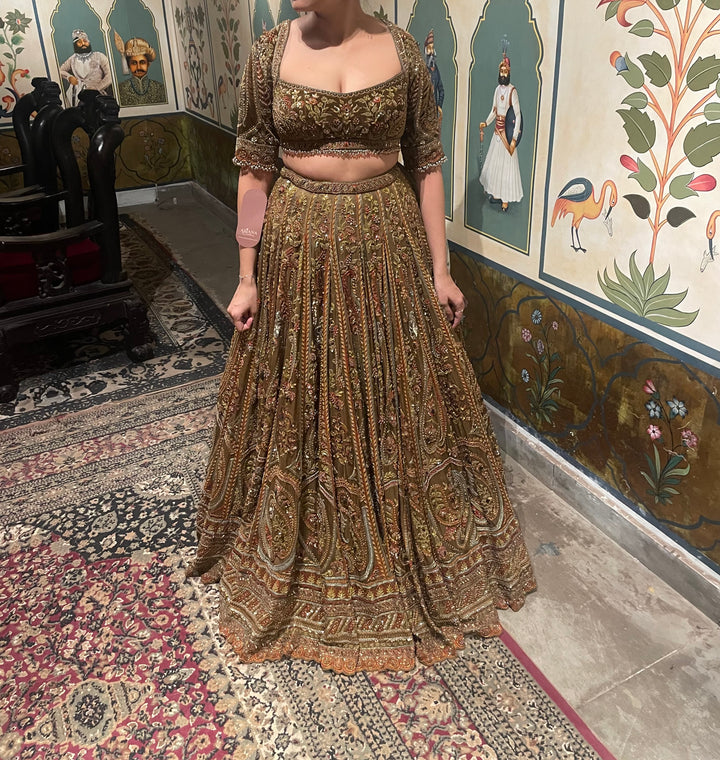 Payal Keyal Embroidered Bridal Lehenga Set