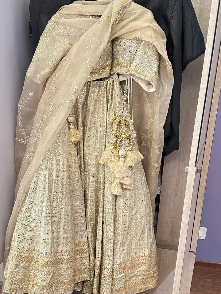 Seema Gujral  Embellished Lehenga Set