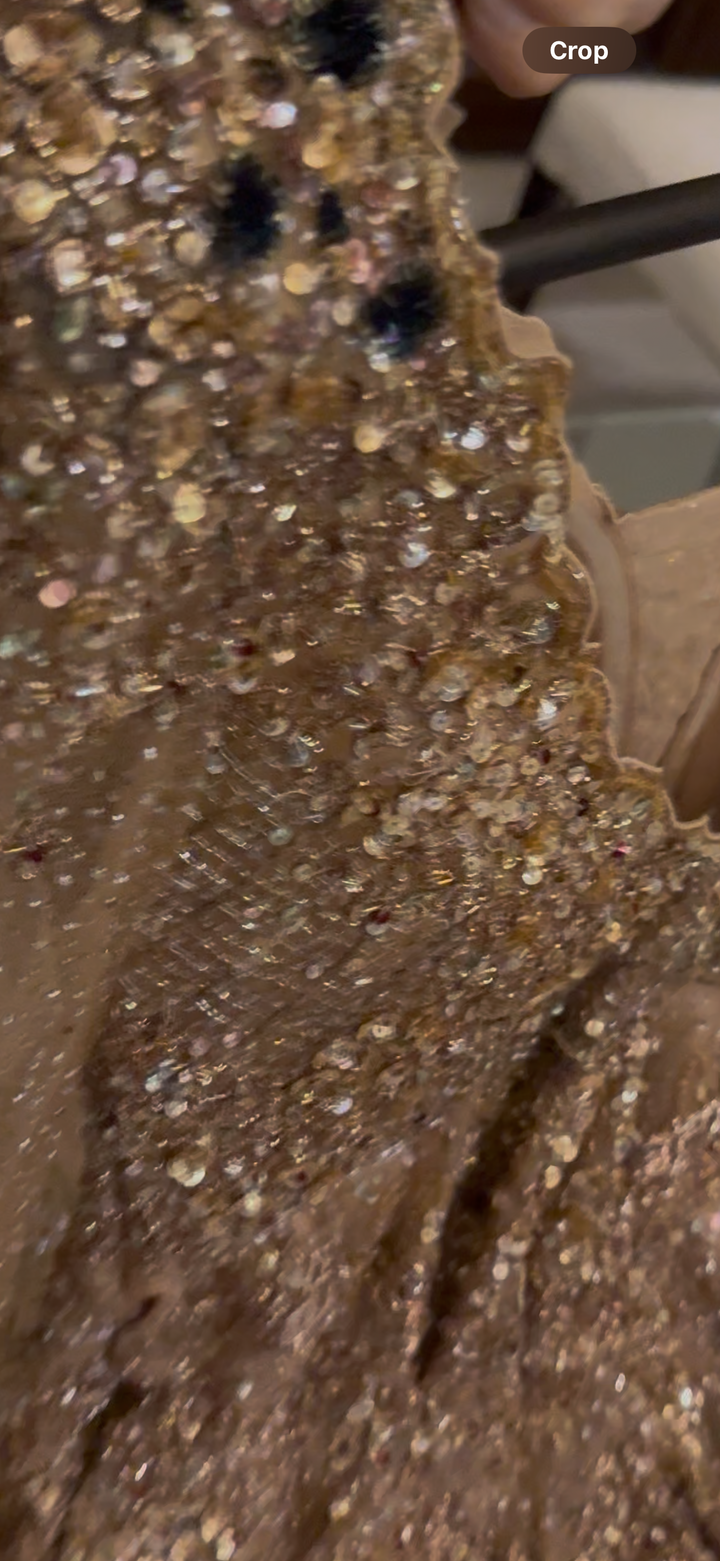 Dolly J Champagne Gold Embellished Gown