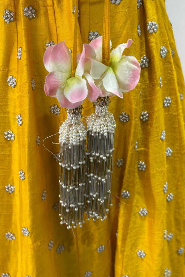 Anushree Reddy Embroidered Lehenga Set