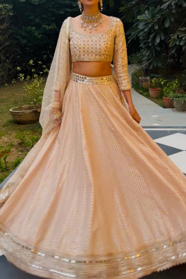 Abhinav Mishra Blush Mirror-Work Lehenga Set