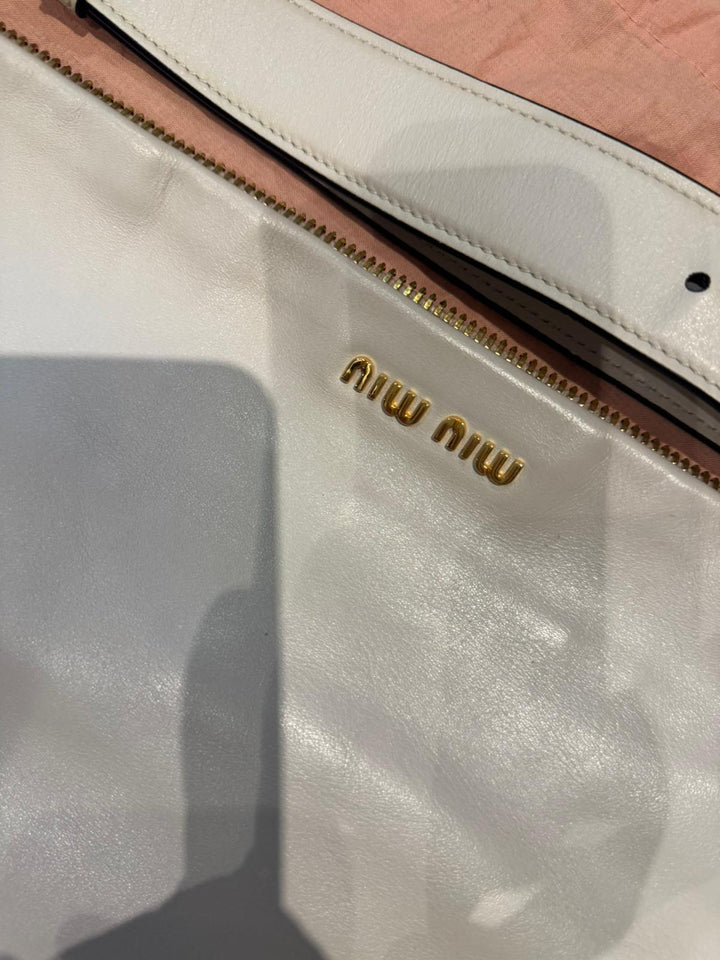 Miu Miu Ailu Bag