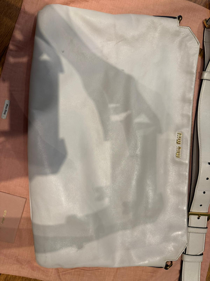 Miu Miu Ailu Bag