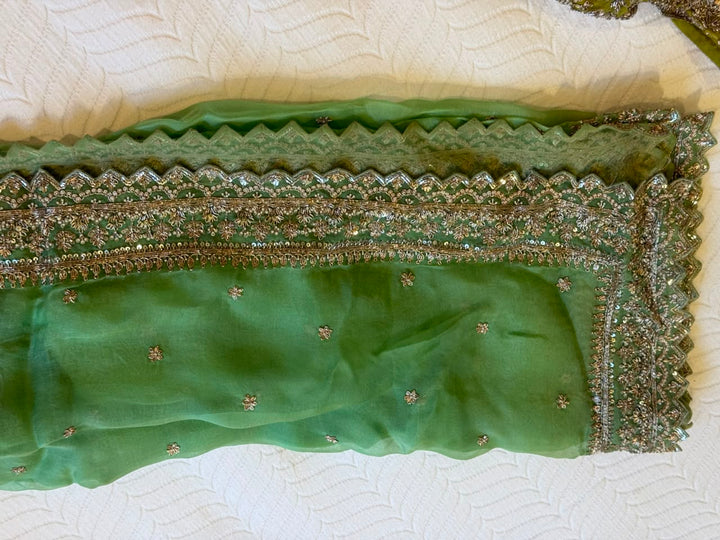 Anushree Reddy Lime Green Organza Lehenga Set