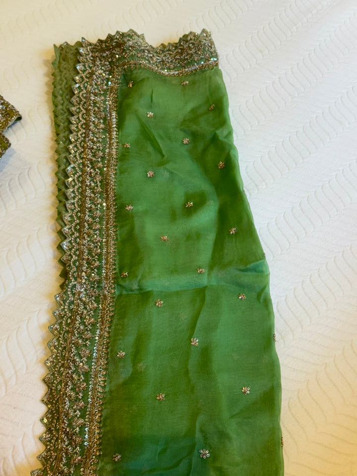 Anushree Reddy Lime Green Organza Lehenga Set