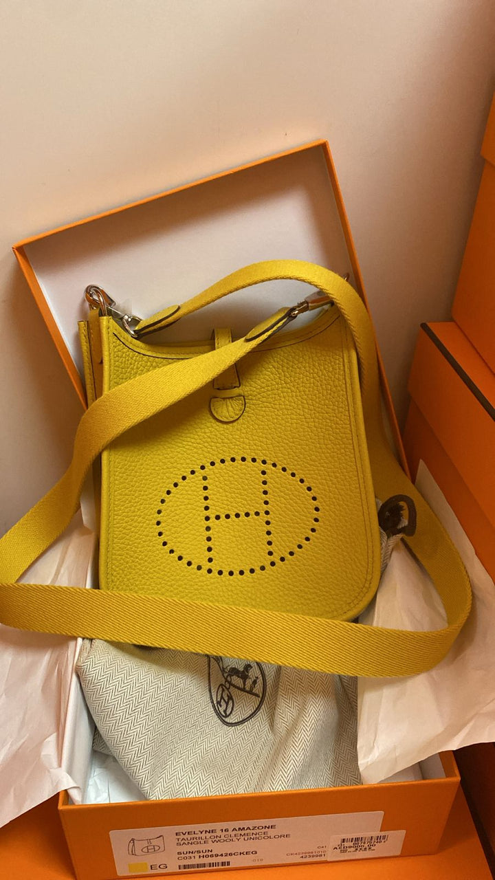 Hermès mini evelyne