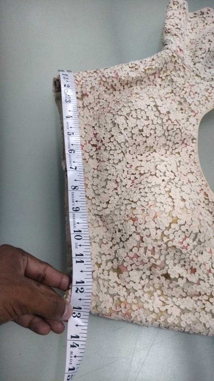 Sabyasachi Pastel Floral Saree & Embroidered Blouse
