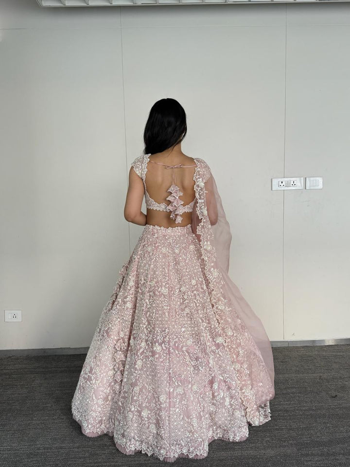 Anushree Reddy Leh Sierra Blush Pink Lehenga Set
