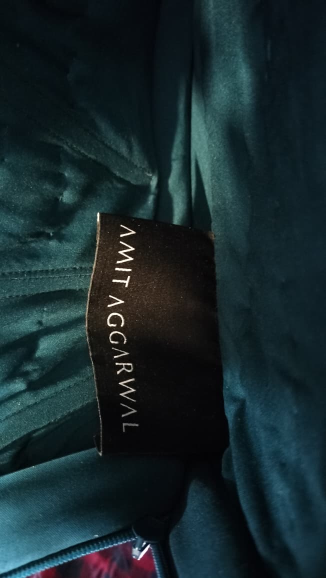 Amit Aggarwal Iridescent Green Sculpted Cocktail Dress