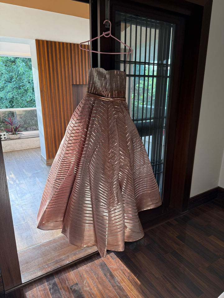 Amit Aggarwal Metallic Pleated Gown