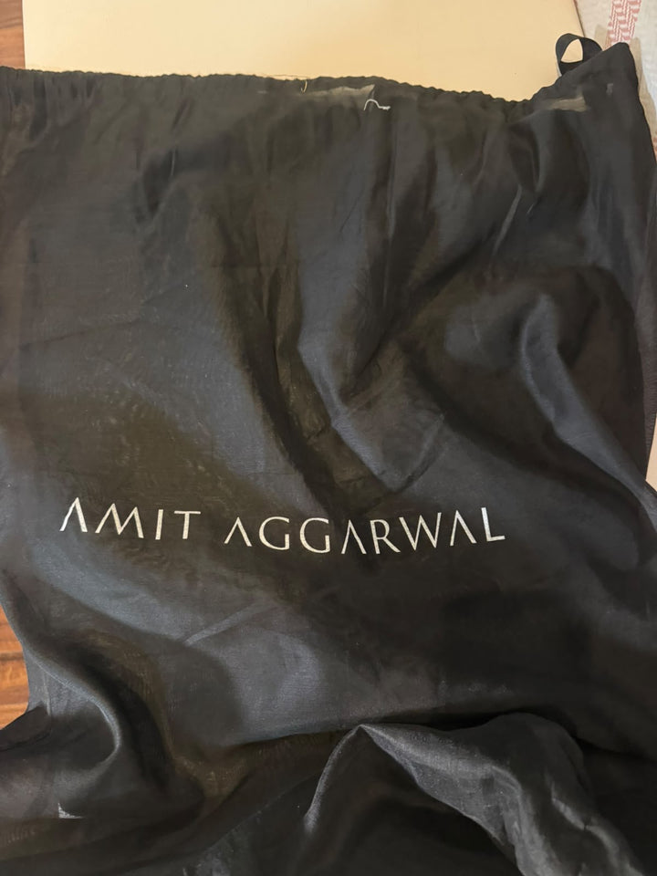 Amit Aggarwal Metallic Pleated Gown