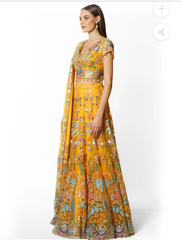 Rabani & Rakha Embroidered Lehenga Set