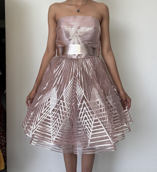 Amit Aggarwal Blush Pink Sculpted Cocktail Dress