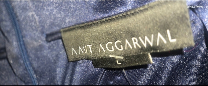 Amit Aggarwal Metallic Gown With Plisse Drape