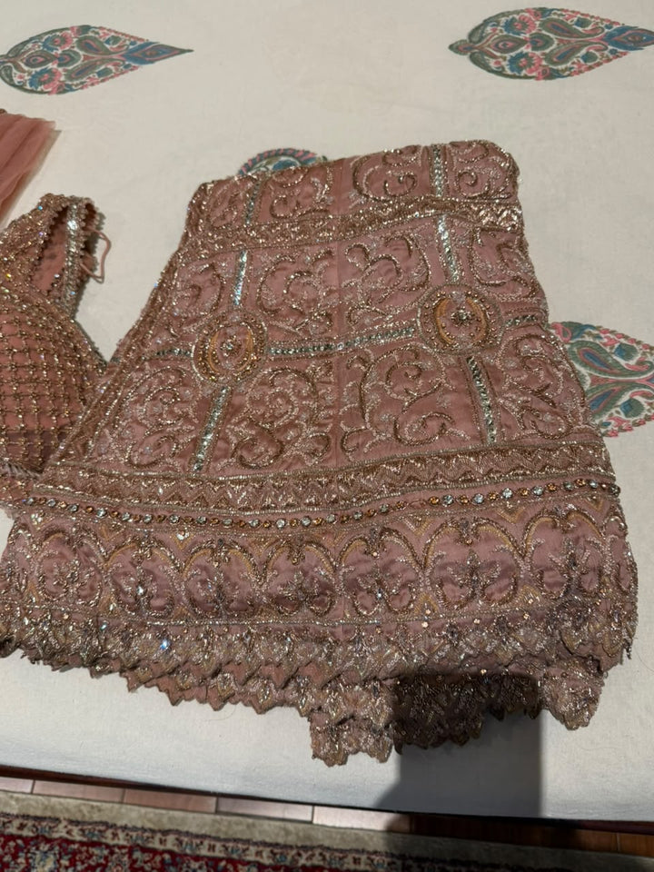 Payal Keyal Embellished Blush Pink Lehenga