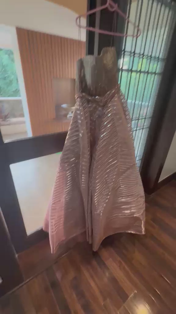 Amit Aggarwal Metallic Pleated Gown